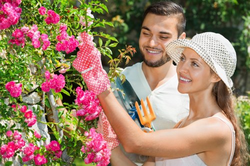 Tree surgeons providing clear pricing for Pimlico properties