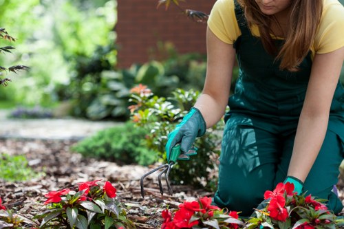 Mid-process assessment of a tree surgery complaint with records