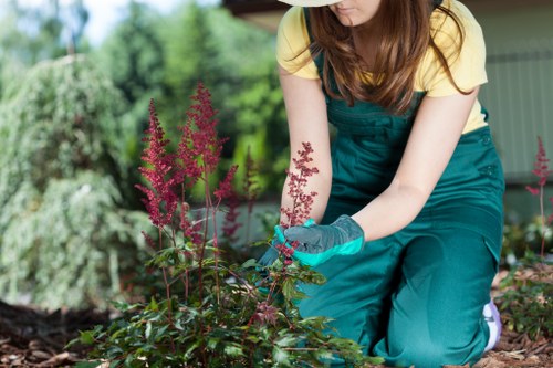 Worker welfare checks and supplier audit process for arboricultural services