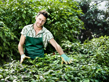 Keyboard navigation and screen-reader friendly tree surgery page