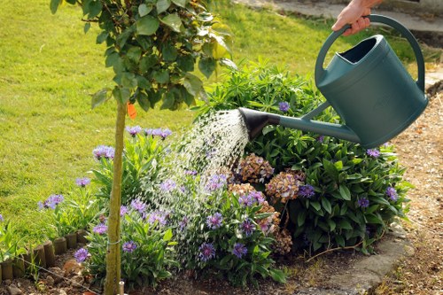 Tree care quotation and booking paperwork for a professional arboricultural service