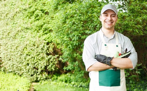 Professional tree surgery service with equipment and site safety setup